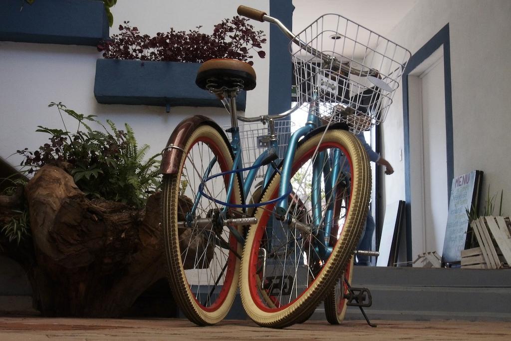 Blue Bicycle House Pansiyon Querétaro Dış mekan fotoğraf