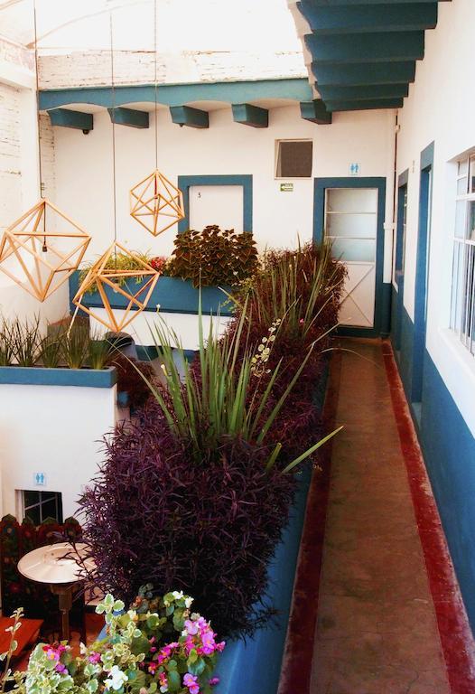 Blue Bicycle House Pansiyon Querétaro Dış mekan fotoğraf